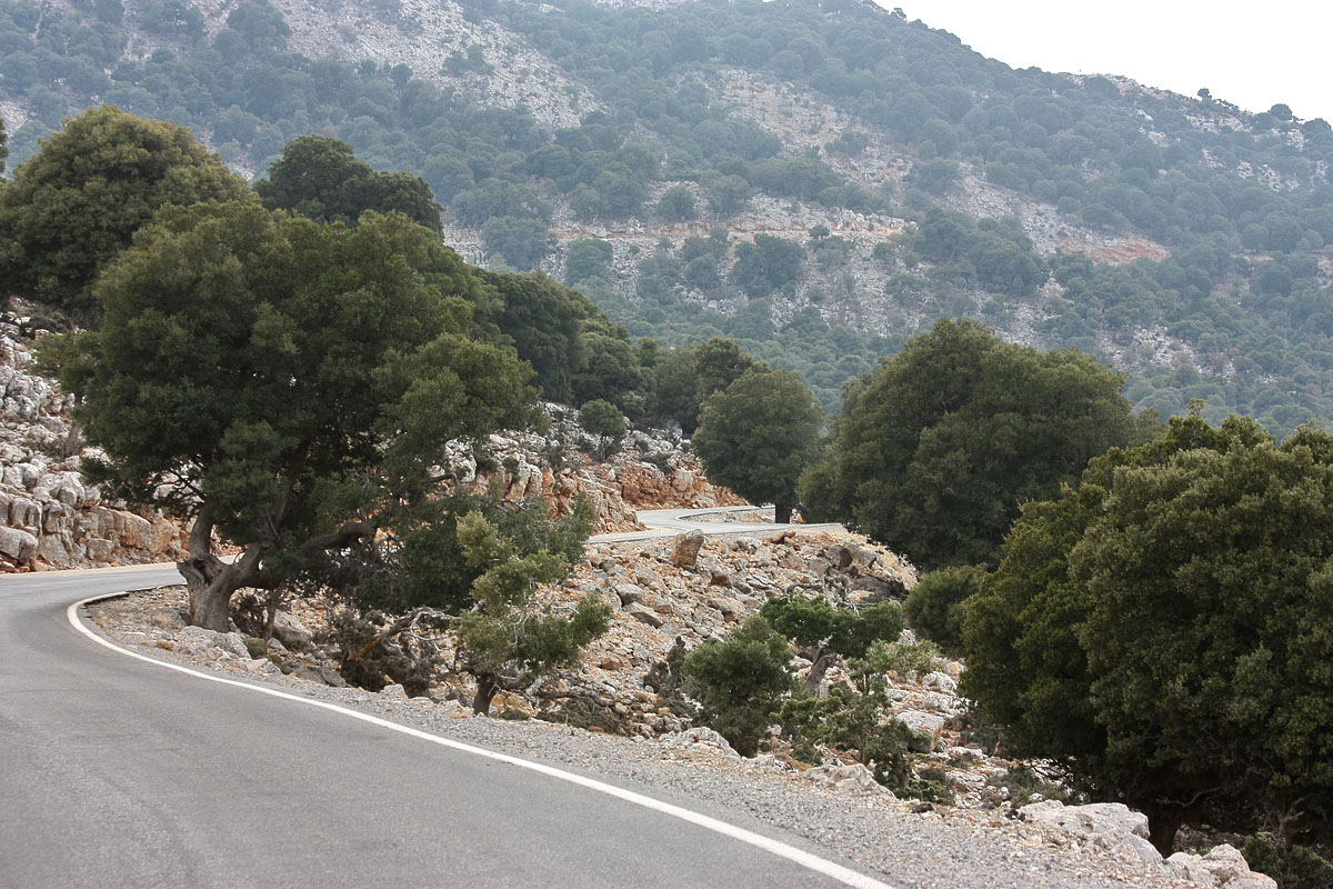 Katharo Plateau